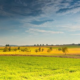Landschaft 